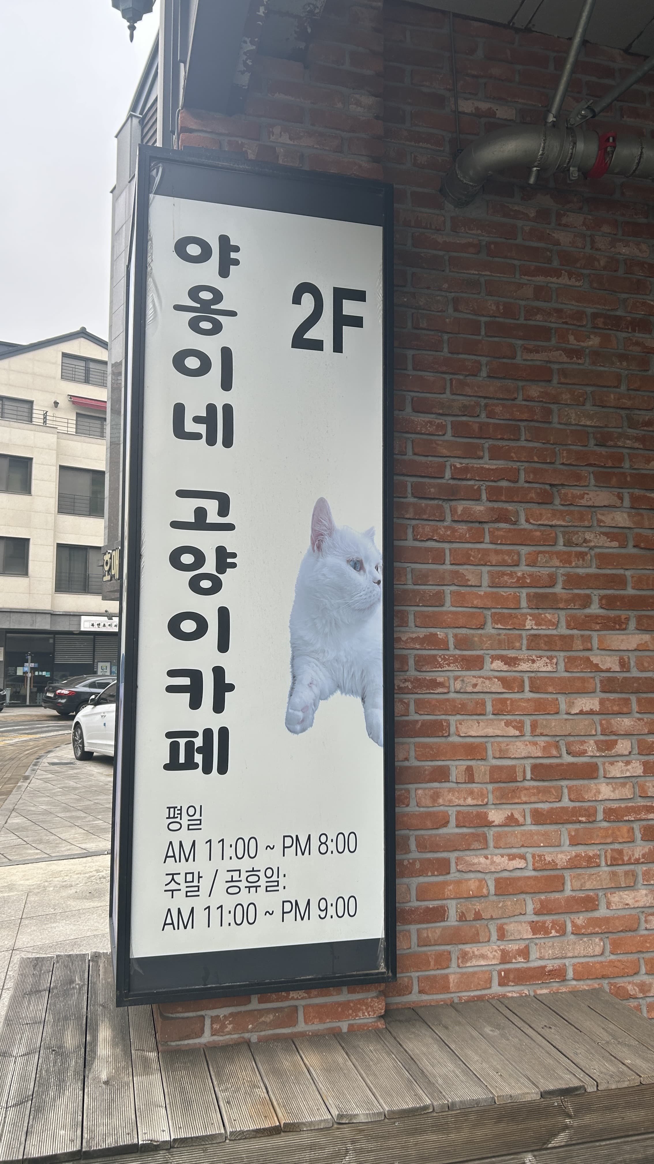 야옹이네 고양이카페 2층 세로 간판 - 평일과 주말 영업시간 표기