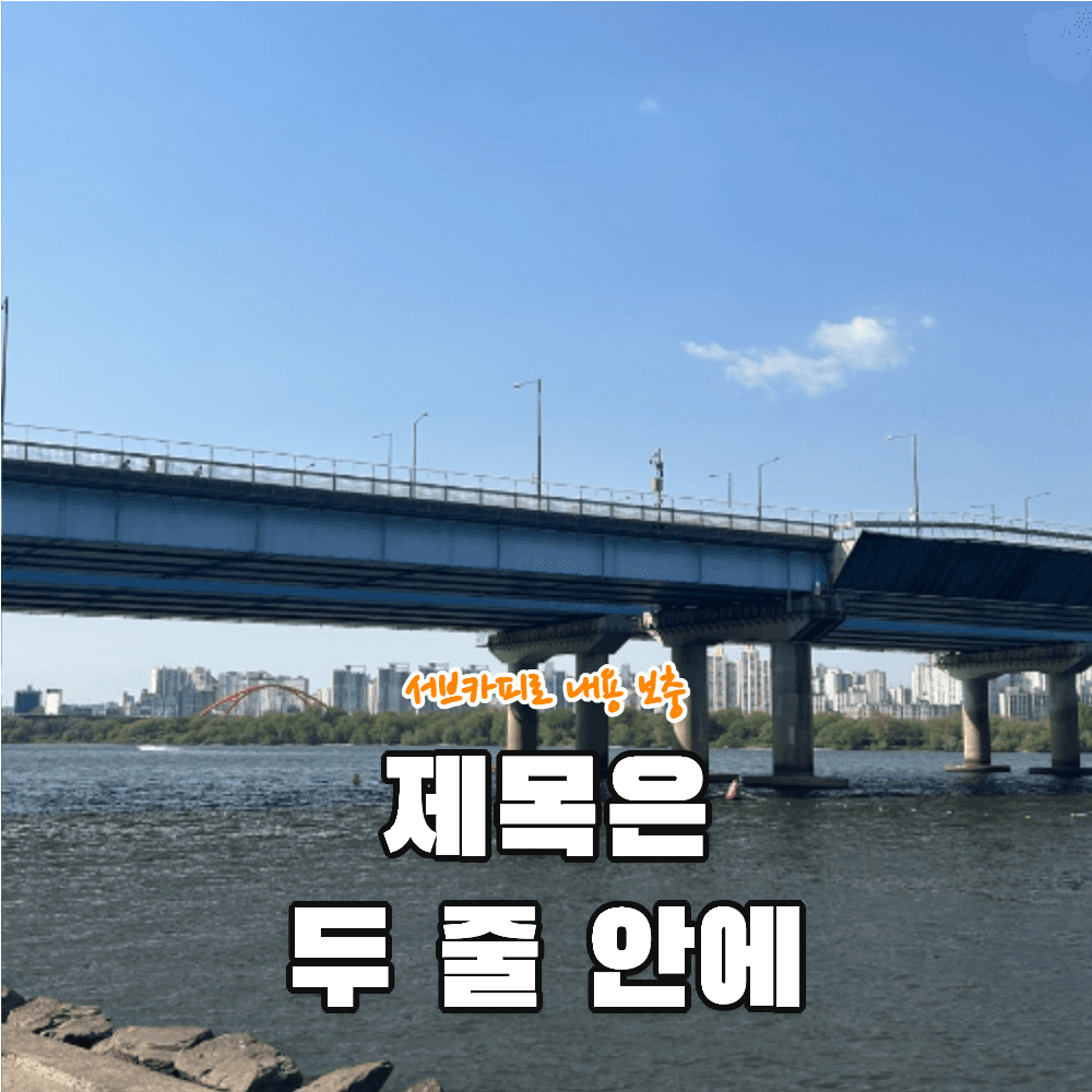 직접 촬영한 한강 사진에 제목 두 줄과 서브카피를 넣어 실제 다운로드한 썸네일 PNG